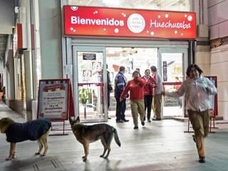 New Zealand issues tsunami warning after 8.3 earthquake hits Chile