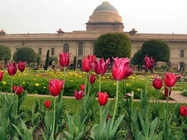 जनता के लिए खुल गया 'मुगल गार्डन' का दरवाजा जनता के लिए खुल गया ‘मुगल गार्डन’ का दरवाजा