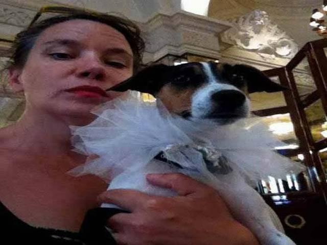 तलाकशुदा ने कुत्ते को ही अपना पति बना लिया! Dog_Divorse_