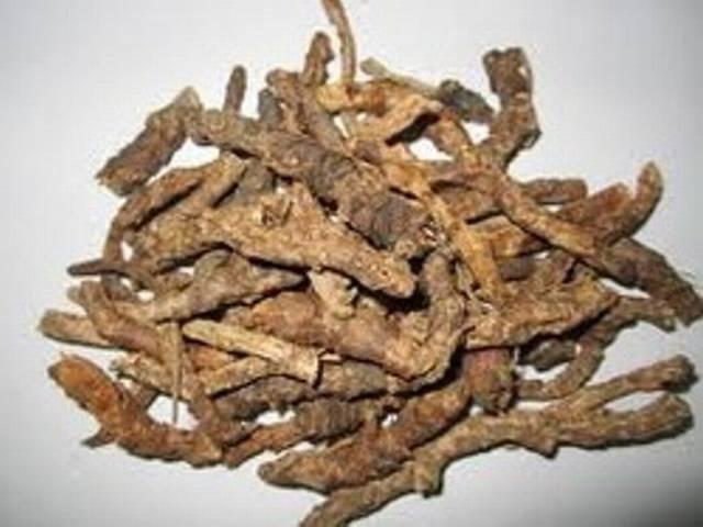 कुटकी की नई किस्म दूर करेगी शरीर में आयरन की कमी कुटकी की नई किस्म दूर करेगी शरीर में आयरन की कमी