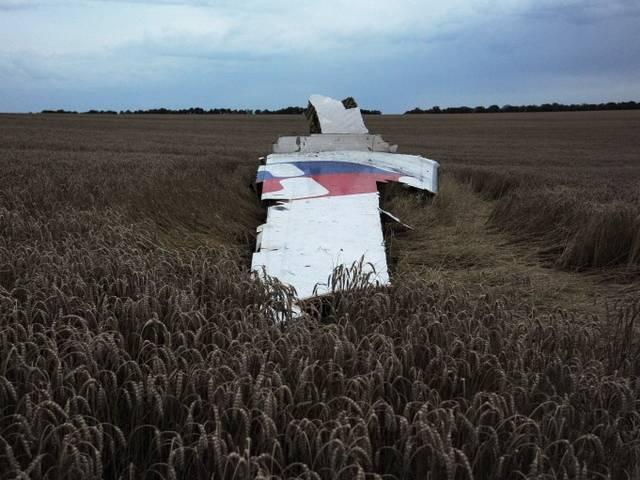 यूक्रेनी विद्रोहियों ने ली मलेशियाई विमान गिराने की जिम्मेदारी _Ukrainian _rebels _claimed _the _responsibility _for _Malaysian _plane _attack