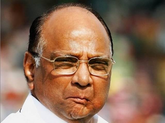 सोनिया गांधी से मिलकर ही होगा सीटों का बटवारा: पवार sharad pawar_ncp_sonia gandhi_maharashtra