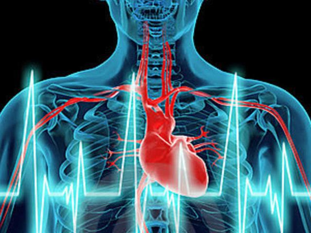 दिल की धड़कन बरकरार रखने वाला अणु खोजा गया heart_beat_enhansiv_moliquel