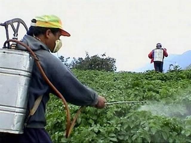 भारतीय कृषि रसायन उद्योग 2019 तक 7.5 अरब डॉलर का हो जायेगा: रिपोर्ट crop_2019_indian farming