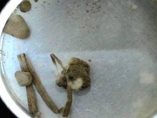 लंदन में नीलाम होगी बापू के खून से सनी मिट्टी लंदन में नीलाम होगी बापू के खून से सनी मिट्टी