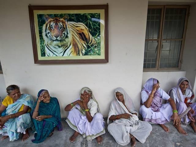 हेमा के बयान पर भड़के वृंदावन के NGOs, कहा-विधवाओं पर आंच नहीं आने देंगे vrindavan_ashram_on_hemamalini_statement