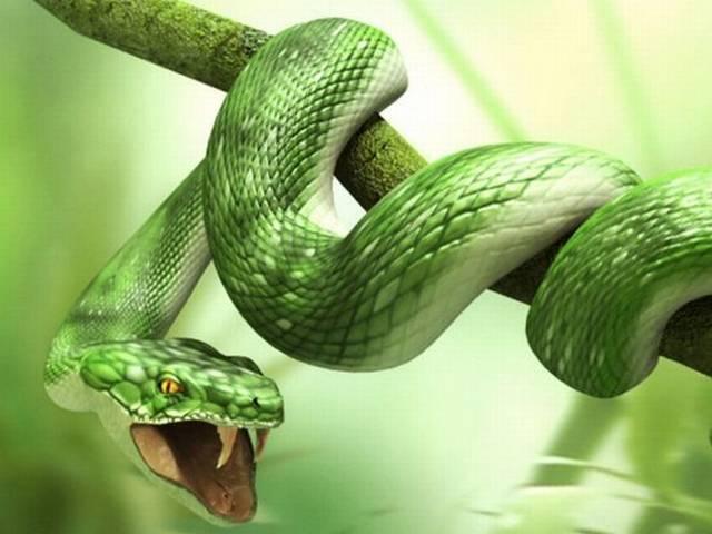 ओडिशा में मिली सांप की नई प्रजाति new snake