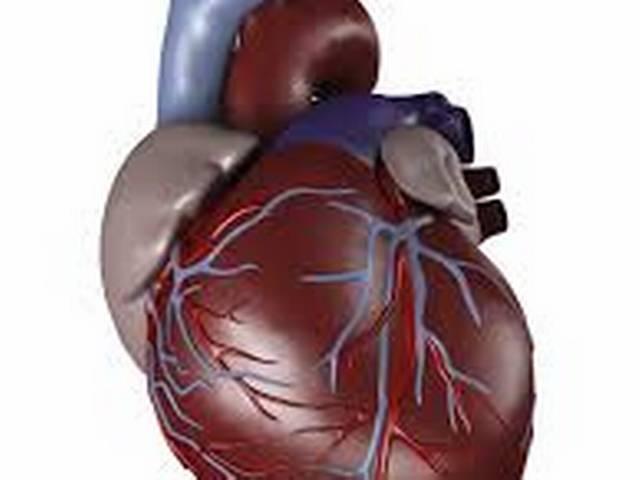महिलाओं में बढ़ गया है ह्रदय रोग का खतरा heart-women-survey