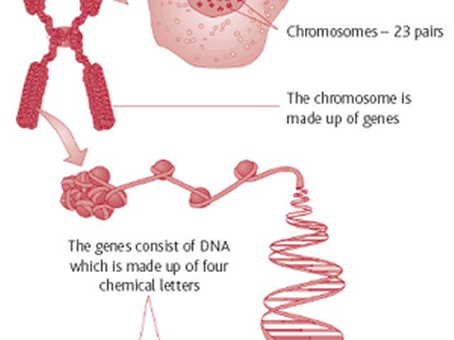 केवल जीन ही बीमारियों के लिये जिम्मेदार नहीं: दीपक चोपड़ा genes