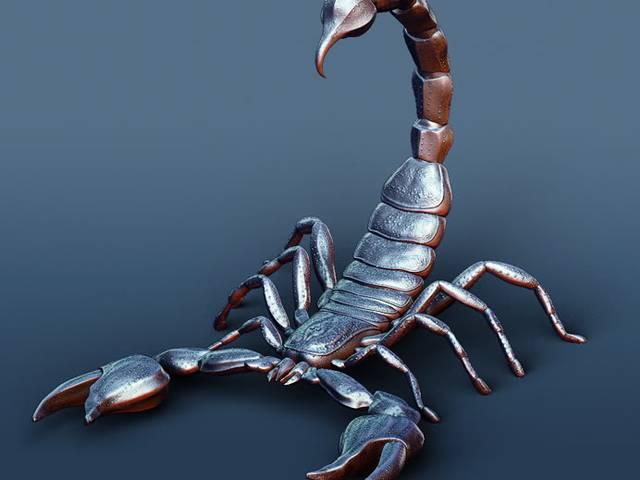बिच्छू के विष से होगा ब्रेन कैंसर का इलाज scorpio-brain-cancer