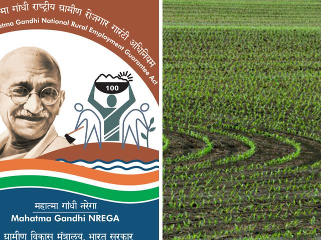 'मनरेगा ने किया है खेती को फिर से जीवित करने का काम' social groups protest modi government’s move to dilute mnrega
