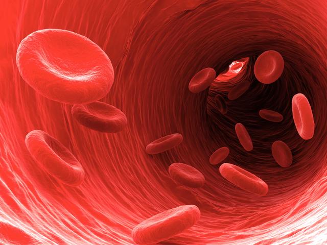 बस दो चम्मच खून से सात दिन में नाड़ी की गई विकसित vessels form with two spoon blood