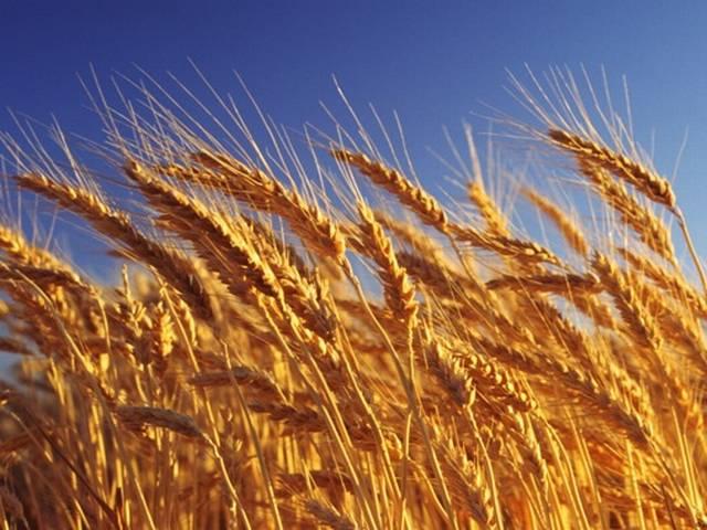 उप्र में होगा खाद्य सुरक्षा आयोग का गठन Uttar Pradesh_Food Security_
