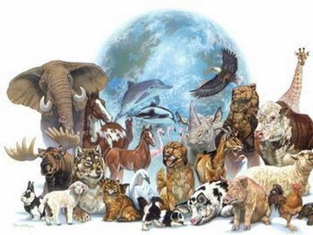 कम ऑक्सीजन के कारण धरती पर देर से आए पशु oxigen-earth-animal