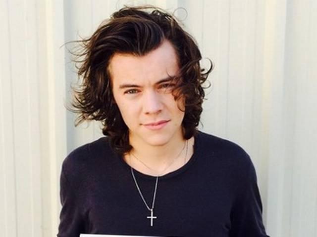डेटिंग के लिए जेंडर जानना महत्वपूर्ण नहीं: हैरी स्टाइल्स harry styles Gender is not important to know for dating