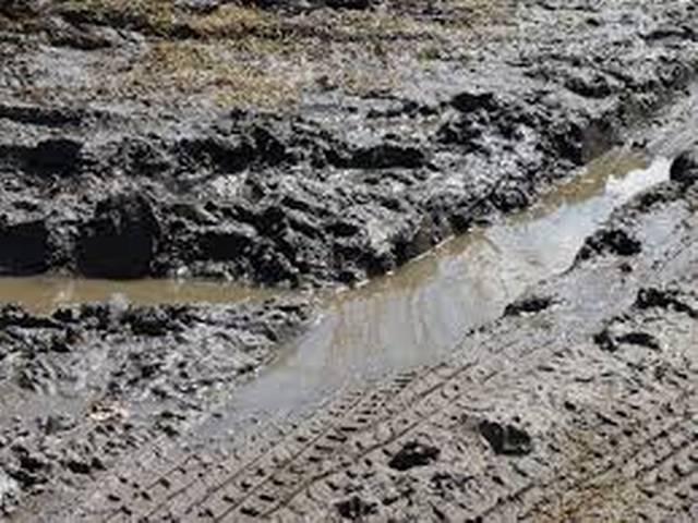 प्रतिबंध के बावजूद गुजरात में सिर पर ढोया जा रहा है मैला : कैग cag report on gujrat