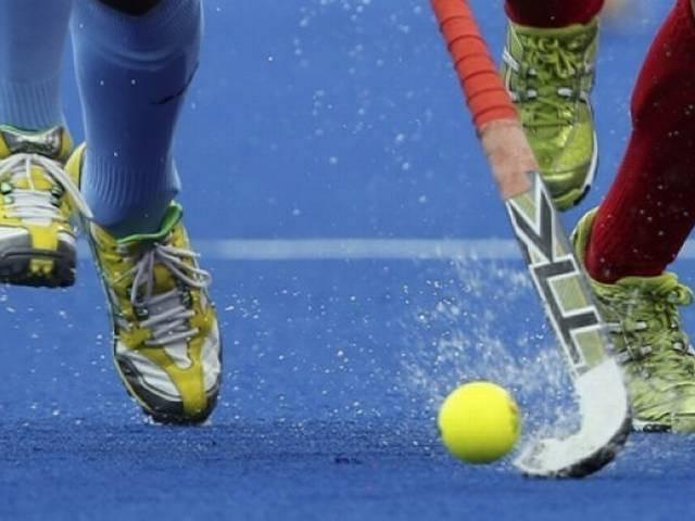 खिलाड़ियों की बोली के लिये तैयार है हॉकी इंडिया लीग hockey india league