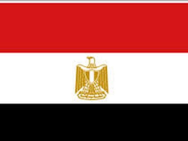 मिस्र की अदालत ने 188 लोगों को मौत की सजा सुनाई Egypt sentences 188 Muslim Brotherhood supporters to death
