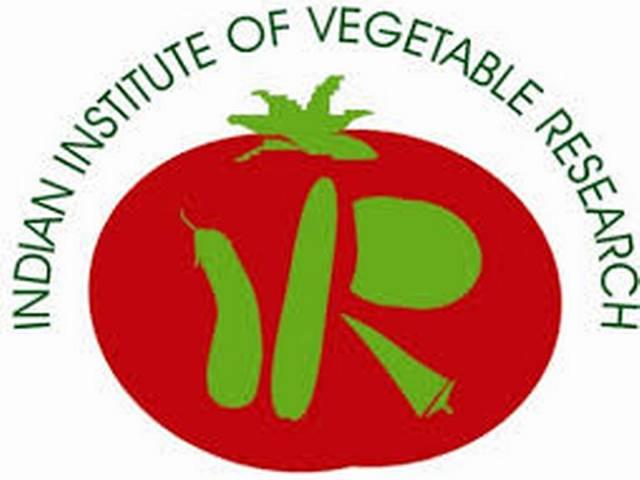कृषि विज्ञान के क्षेत्र में करिअर बनाने का सुनहरा मौका! Application for the following post at IIVR, Varanasi and Krishi Vigyan Kendras