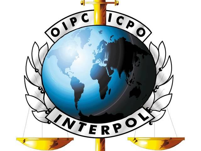 कई देशों के 15 हजार लोग जेहादी गुट में शामिल: इंटरपोल interpol