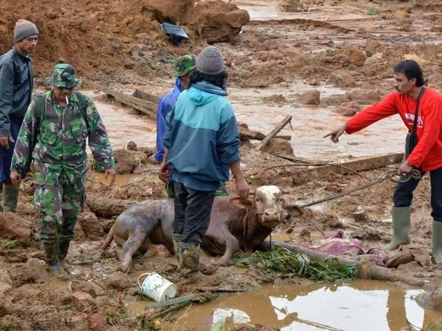 इंडोनेशिया में भूस्खलन में 20 की मौत, 88 लापता indonesia_landslide
