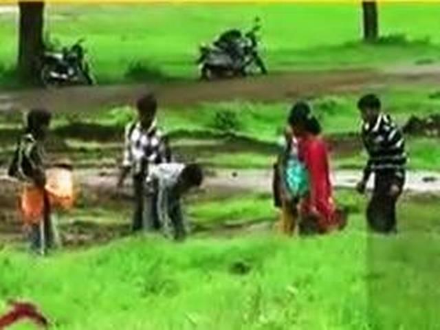 खनन करने वालों को लगाने होंगे पौधे खनन करने वालों को लगाने होंगे पौधे