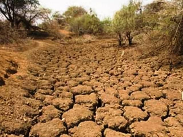 बिहार में सूखा, फसल बचाना मुख्य चुनौती बिहार में सूखा, फसल बचाना मुख्य चुनौती
