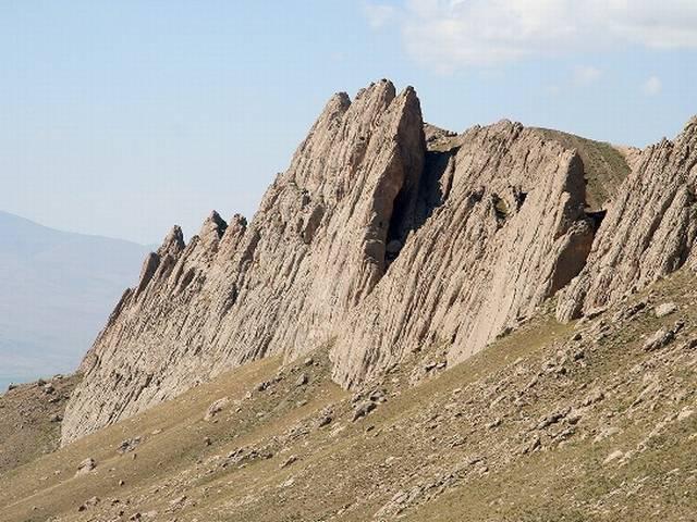 न्यूजीलैंड: 30 मीटर ऊंचाई से गिरा 85 वर्षीय बुजुर्ग बाल-बाल बचा new zealand_