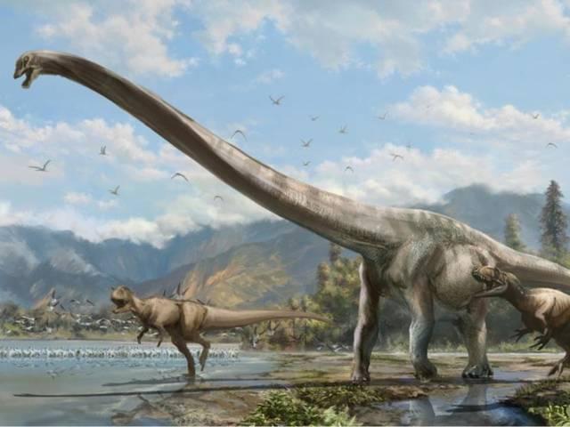 चीन में मिला लंबी गरदन वाला डायनासोर Long-necked ‘dragon’ discovered in China