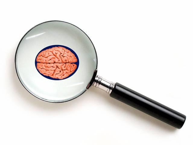 रीढ़ की हड्डी में होता है छोटा दिमाग backbone contains small brain