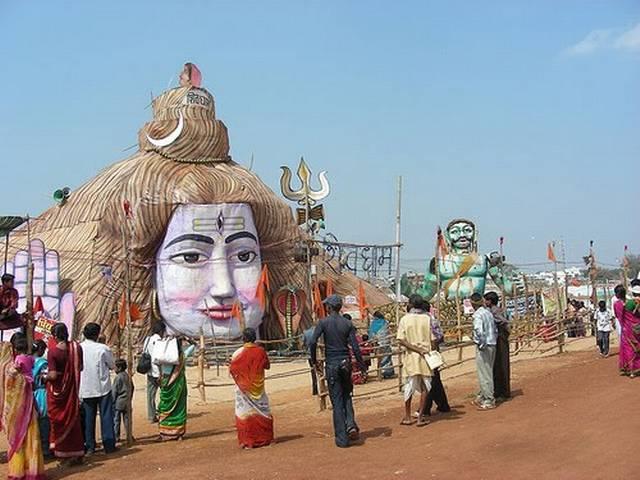 राजिम कुंभ: पांच साल से खड़ा है एक संन्यासी RAJIM_KUMBH_SAINT