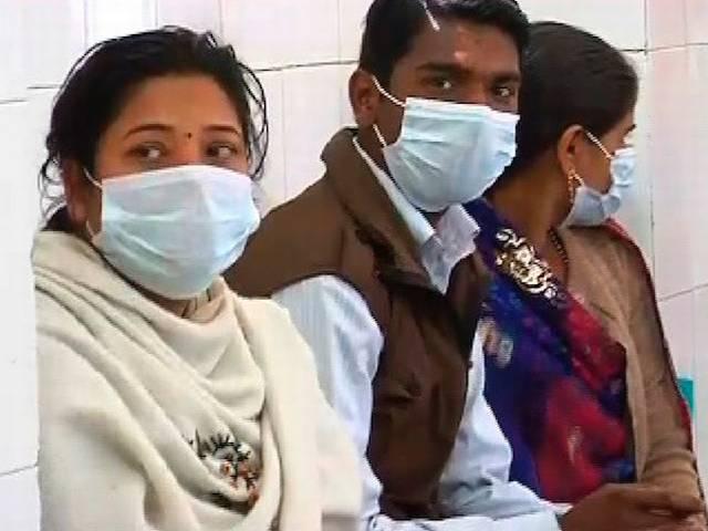 स्वाइन फ्लू से 663 मौतें, वायरस नागालैंड तक पहुंचा swine flu: death toll rises to 663, n1h1 virus reaches to nagaland