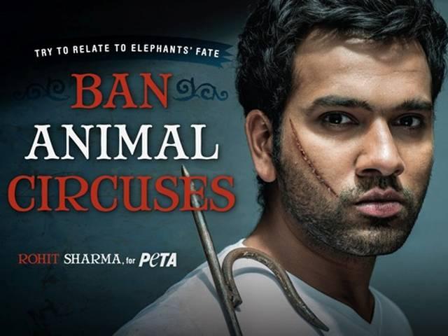 पेटा से जुड़े रोहित शर्मा rohit sharma