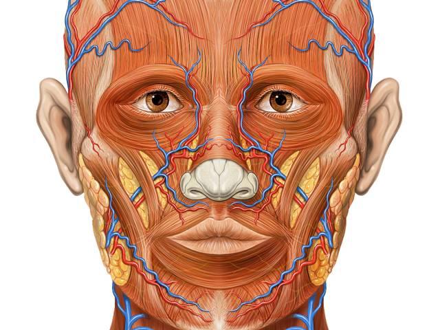 दो साल में संभव होगा मानव सिर का प्रत्यारोपण? Italian surgeon plans first ever human head transplant by 2017