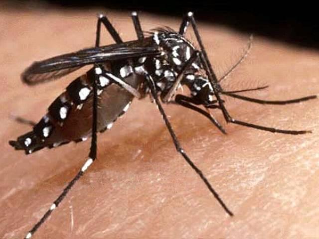 ...तो ऐसे मिलेगा मच्छरों से निजात! mosquito_chemical