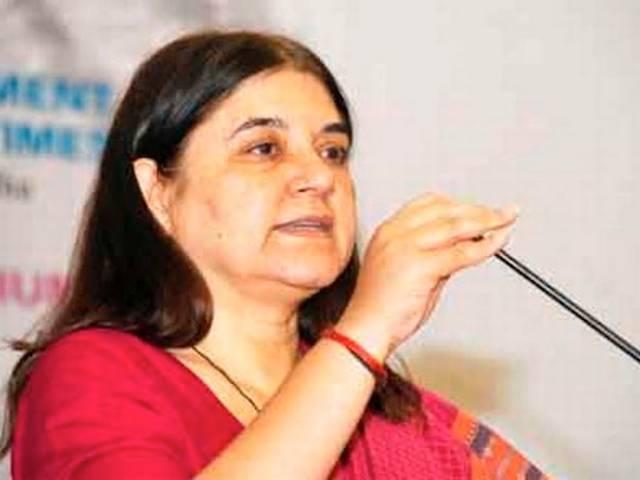 मेनका की सलाह- गौमूत्र का इस्तेमाल करो Maneka Gandhi suggests for surface cleaner from cow urine