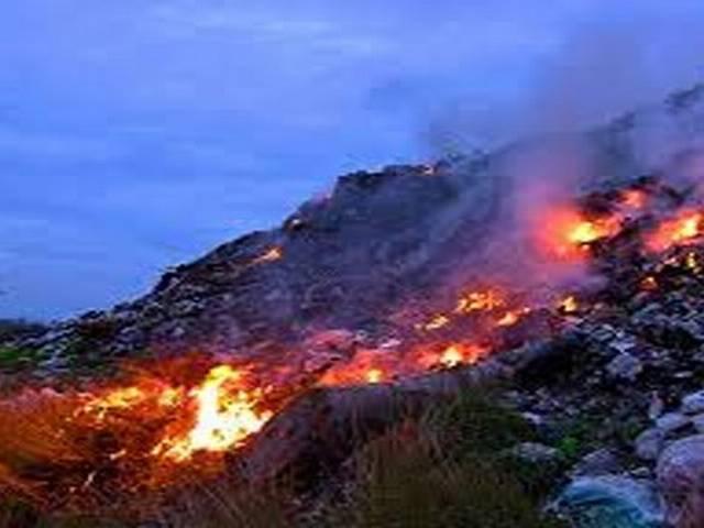 दिल्ली-एनसीआर: खुली जगहों पर कचरा जलाया तो देना पड़ेगा 5,000 जुर्माना NGT bans burning of waste in open, violators to be fined