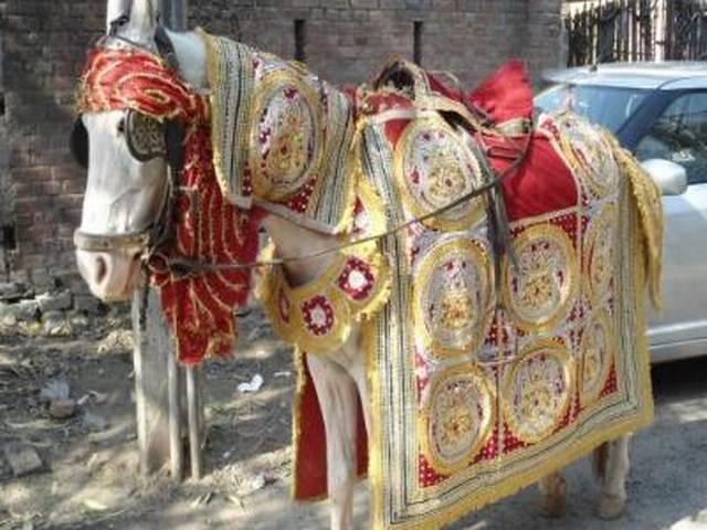 यूपी: गिनती नहीं आने पर दूल्हन ने मंडप में किया शादी से इनकार The groom ‘uneducated’ bride returned the barat