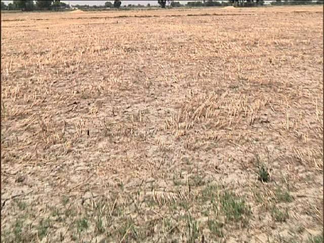 बाहरी दिल्ली के किसानों को नहीं मिला केजरीवाल सरकार से कोई मुआवजा! kejriwal_farmers_compensation
