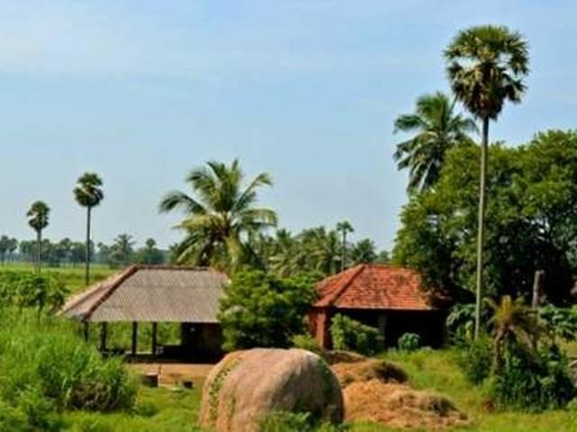 भारतीय मूल के अमेरिकियों ने आंध्र प्रदेश के 2400 से ज्यादा गांव लिए गोद americans_adopt_villages