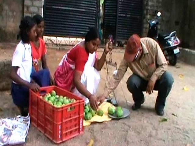 अनुठी मिसाल: आठ बार के सांसद की मास्टरनी बेटी बेच रही है आम daughter of BJP MP sells mangoes