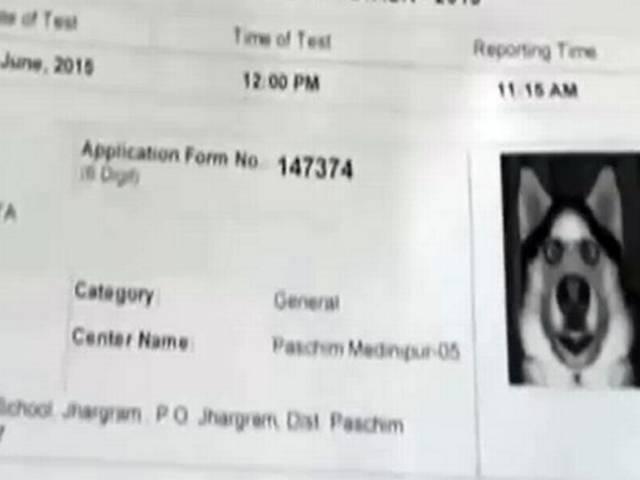 प्रवेश पत्र पर कुत्ते की तस्वीर मामले में छात्र गिरफ्तार student arrested for the photo of a dog on his admit card