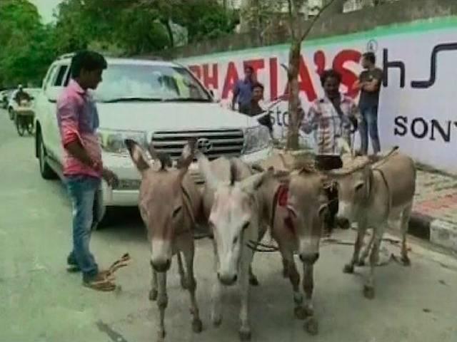 ...और जब मालिक ने गधों से खिंचवाई अपनी लैंड क्रूज़र कार OWNER GETS DONKEYS TO PULL HIS LAND CRUISER