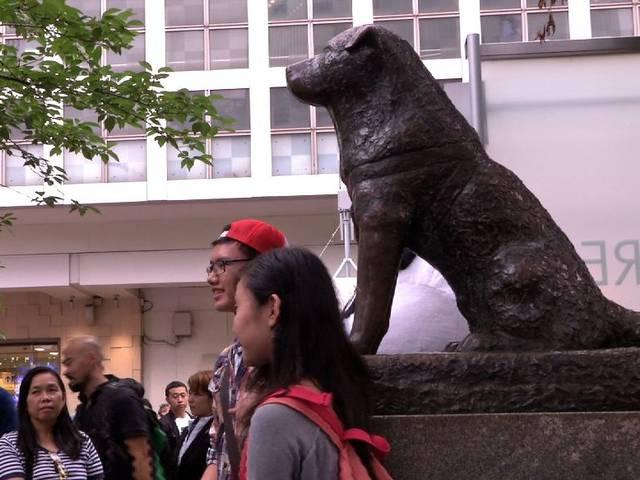ब्लॉग: मुस्तैदी के साथ इंतजार करता हचिको देता है वफादारी का संदेश Hachiko_