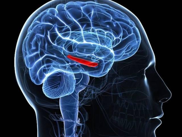 अच्छी मेमोरी का खुल गया ‘राज़’ reveal_the_secret_of_good_memory