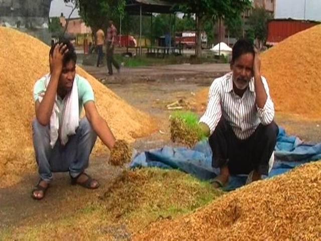 दिल्ली: नरेला मंडी में बारिश से बर्बाद हुआ हजारों क्विटंल अनाज delhi: quintiles of food grains got destroyed because of rain