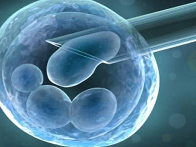 ‘लंबा, सुंदर, नौकरीवाला और ब्राह्मण ही होना चाहिए स्पर्म-एग डोनर’ Vegetarian_educated_egg_donors_top_in_couples_wishlist