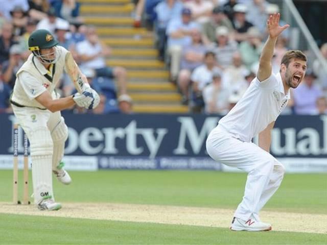 ASHES: दूसरे टेस्ट से वाटसन बाहर, हैडिन ने नाम वापस लिया austrlian team for 2nd ashes test
