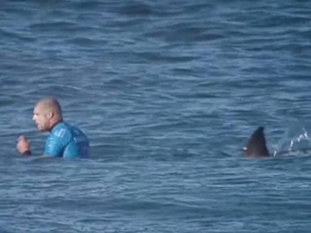 Shocking Video: जब लाइव कैमरे पर शार्क ने किया एथलीट पर हमला Shark attacks professional surfer on live camera
