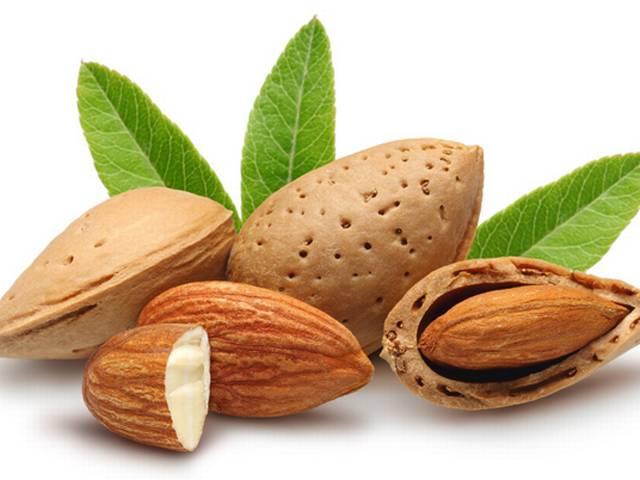 बादाम खाने के ये फायदे जानते हैं आप? Benefits of Almonds